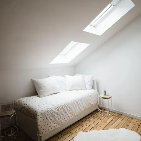 Apartment Magnifique Duplex Ultra Lumineux Au Centre De
