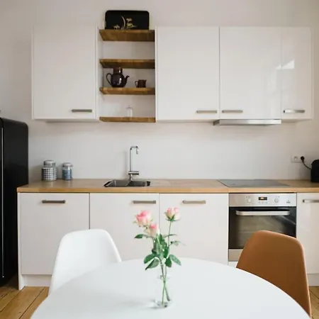 Magnifique Duplex Ultra Lumineux Au Centre De Apartment